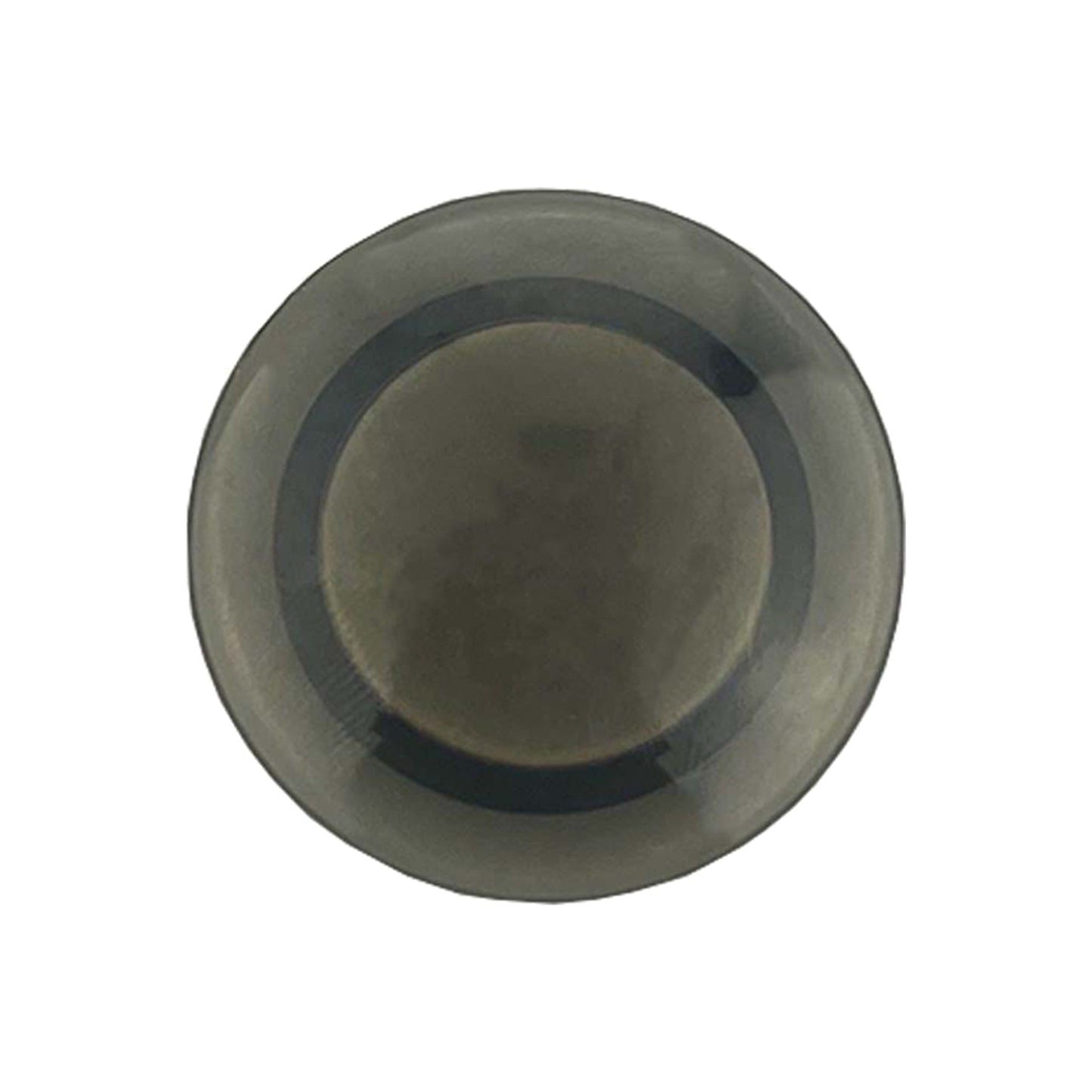 Plastic Button Magnet